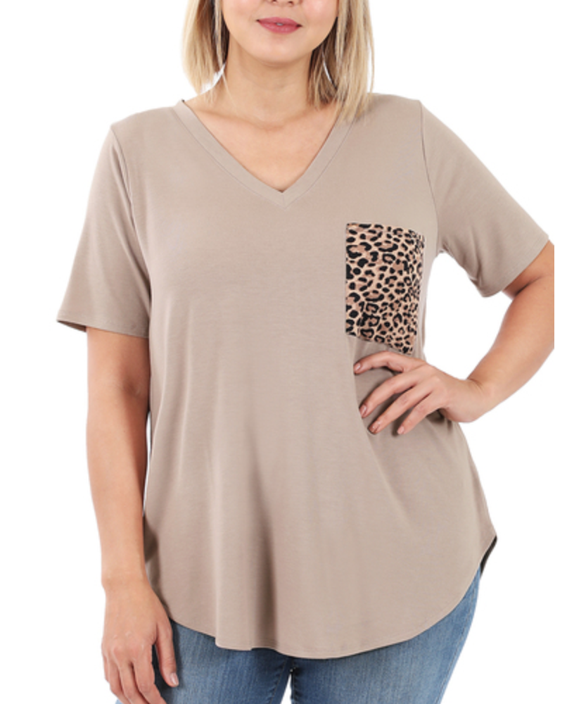 Ash Top