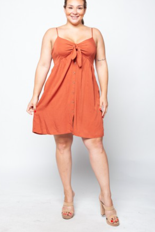 Tie the Knot Dress