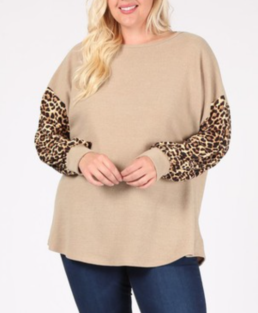 Teach Me Top *Extended Plus*