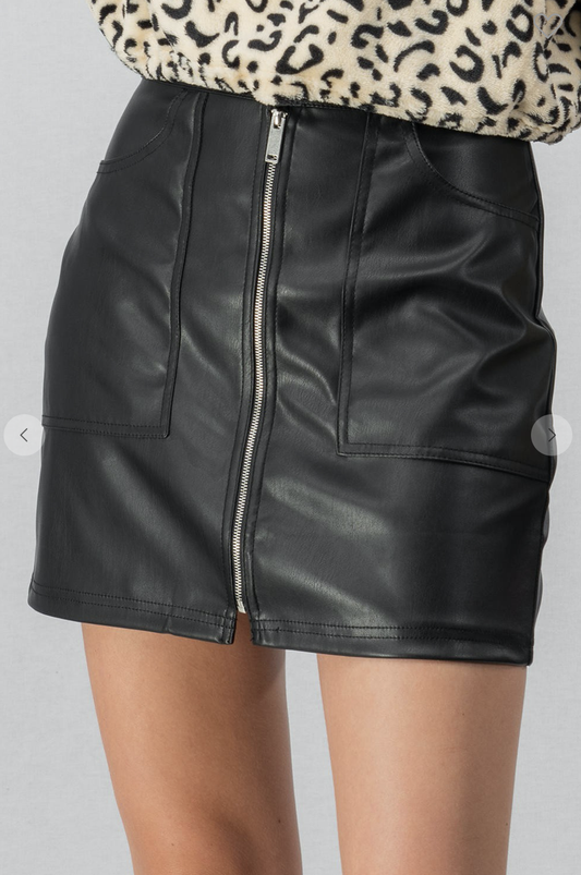 Zip Up Mini Skirt